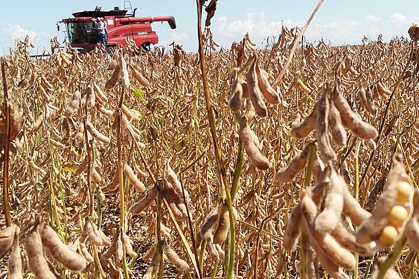 Em SidrolÃ¢ndia, seca reduz produtividade em 23,63% e agricultor deixa de faturar R$ 170 milhÃµes