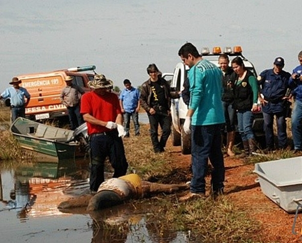 Encontrado corpo de mulher que se jogou no Rio Dourados em Deodapolis