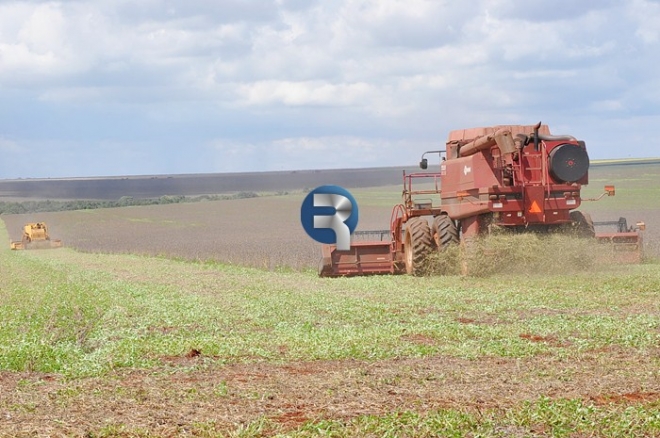 IBGE mostra que metade da soja de Mato Grosso do Sul jÃ¡ foi colhida