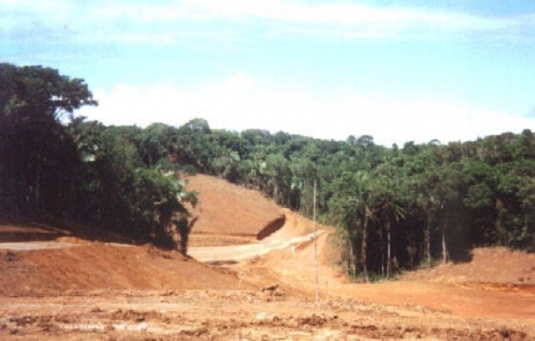 Ãreas degradadas por mineraÃ§Ã£o: recuperaÃ§Ã£o demora 30 anos