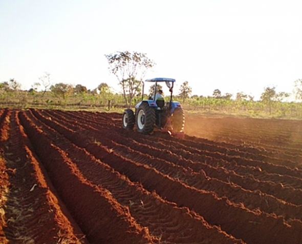 Plantio de soja em Mato Grosso do Sul comeÃ§a a partir de amanhÃ£