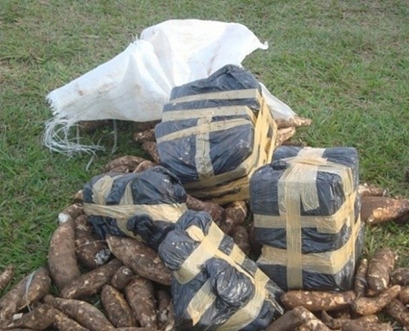 PolÃ­cia paraguaia encontra maconha em sacos de mandioca na fronteira com MS