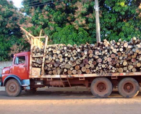 CaminhÃ£o carregado com madeira ilegal Ã© apreendido em SidrolÃ¢ndia