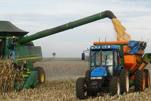 Estiagem pÃµe produtores em alerta e recomendaÃ§Ã£o Ã© cautela com milho