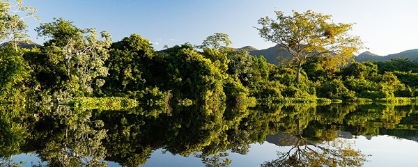 Pantanal tem um fiscal a cada 204 kmÂ² para combater a caÃ§a, a pesca ilegal e outros crimes ambientais