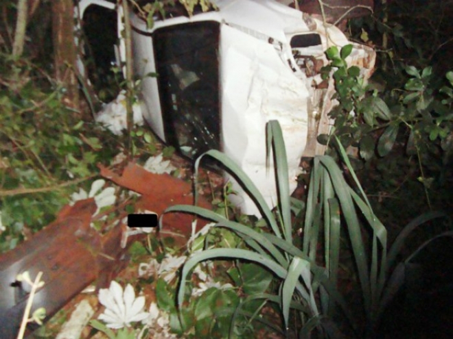 Ao desviar de tamanduÃ¡ condutor capota veÃ­culo