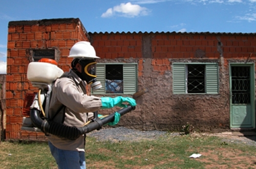 MS registrou 78.721 casos de dengue de janeiro a setembro