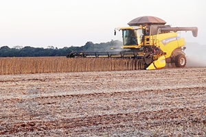 Colheita da soja chega a 75% da Ã¡rea de Mato Grosso do Sul com boa produtividade