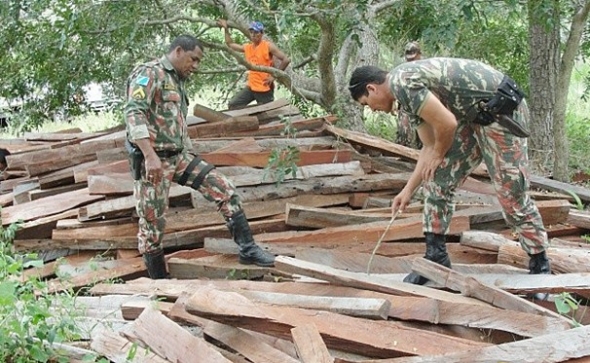 Fazendeiro Ã© multado em quase R$ 15 mil por extraÃ§Ã£o ilegal de madeira