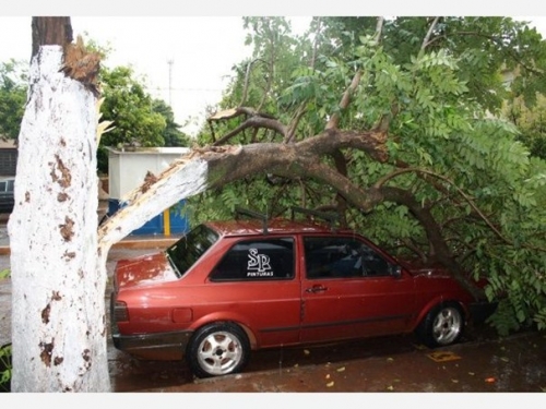 Chuva deixa rastro de destruição em Dourados