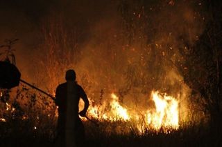 Atear fogo em terreno baldio &eacute; crime e multa pode chegar a quase R$ 10 mil