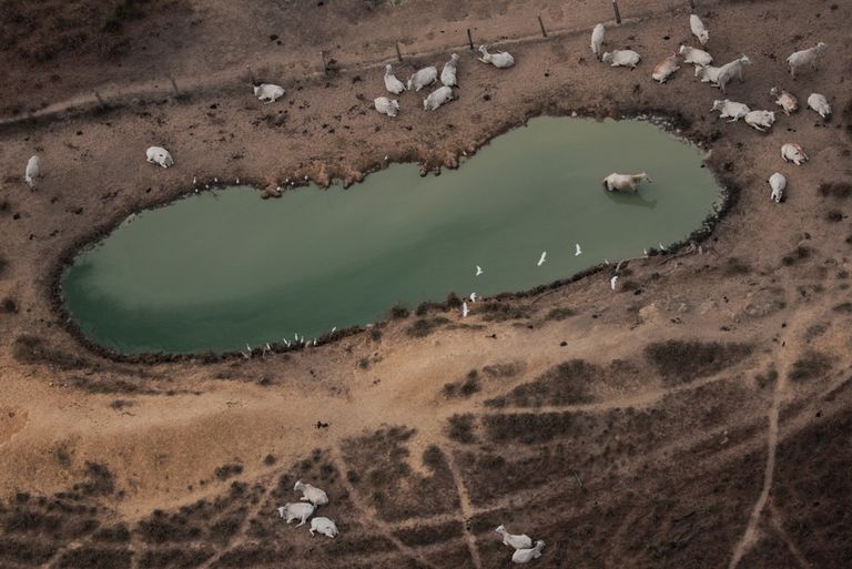 Amaz&ocirc;nia teve 1.359 km&sup2; sob alerta de desmatamento 