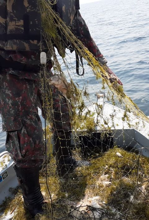 PMA apreende 400 redes, solta 10 kg de peixes 