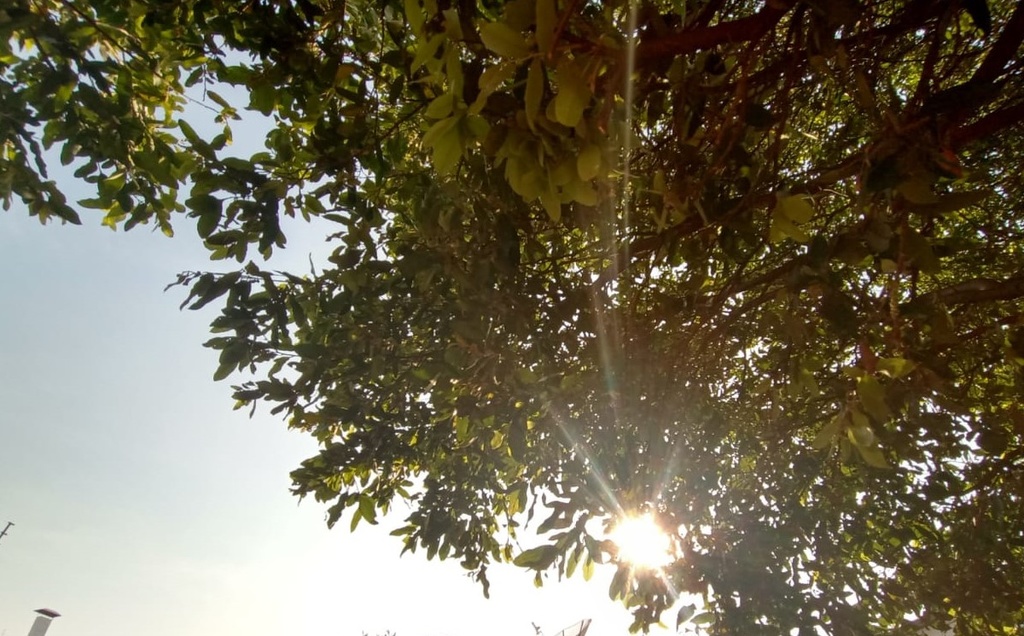 Ap&oacute;s recorde de calor, m&aacute;xima de domingo fica pr&oacute;xima de 35&deg;C