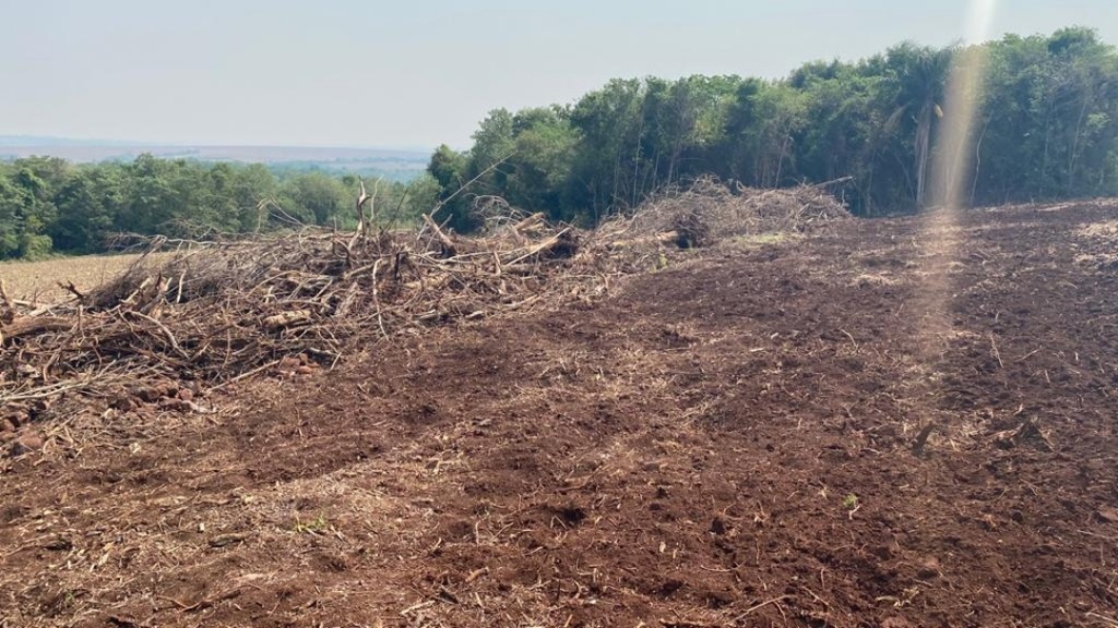 Assentado &eacute; multado em R$ 5 mil por desmatamento ilegal de vegeta&ccedil;&atilde;o