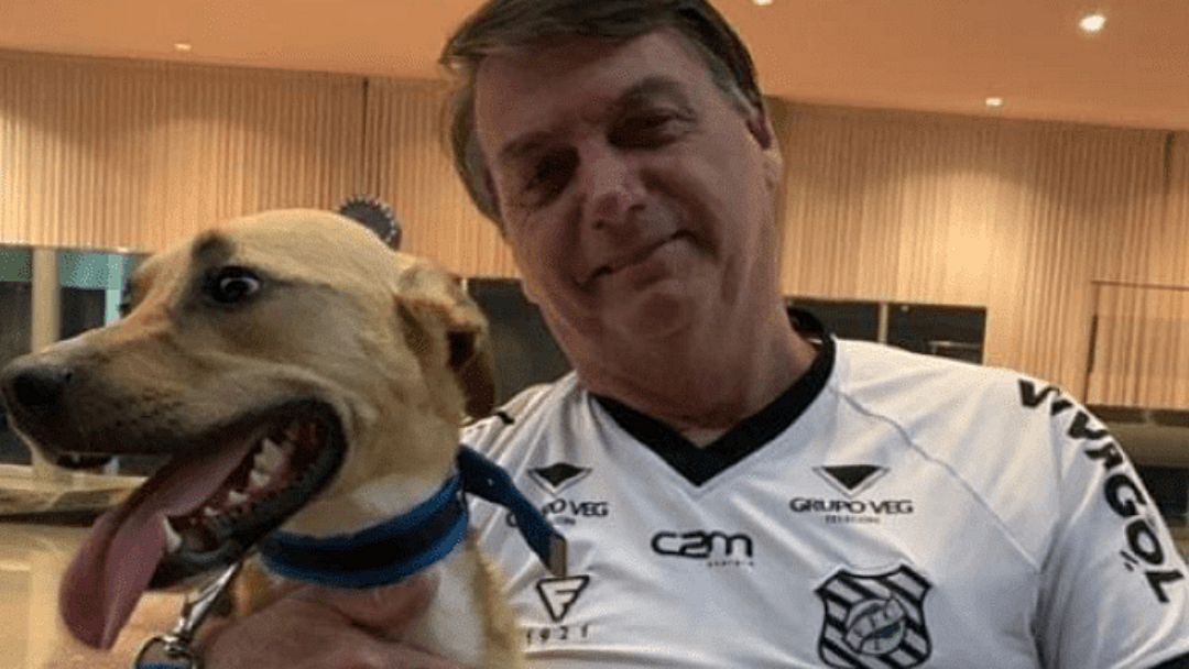 Bolsonaro: vacina obrigat&oacute;ria s&oacute; para o cachorro  