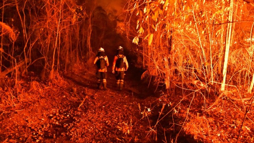 MS investe R$ 30 mi em equipamentos de combate aos inc&ecirc;ndios no Pantanal