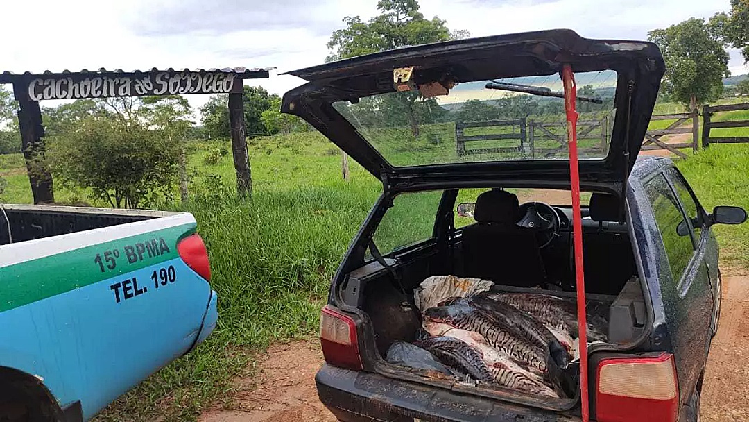 Em tr&ecirc;s meses, PMA aplica R$ 62 mil em multas e apreende 295 kg de pescado