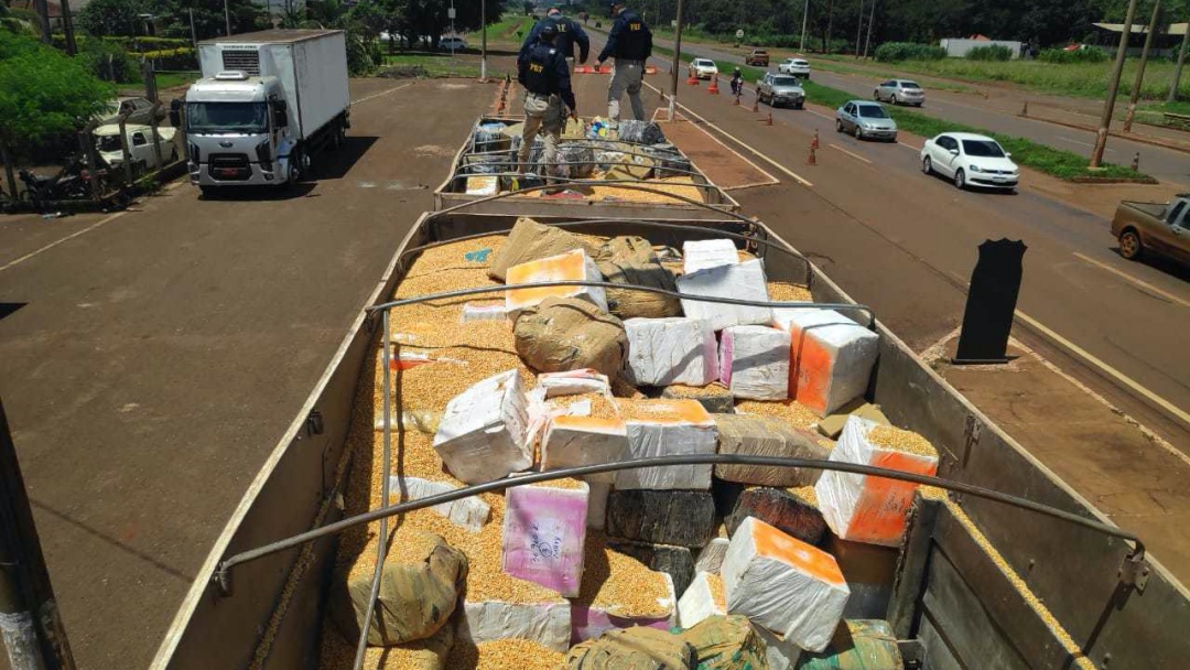 Maconha em carreta com milho a granel pesa quase 30 toneladas