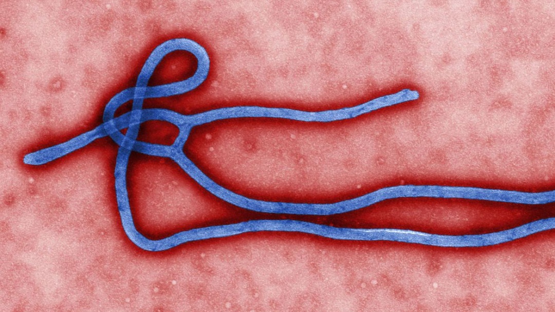 Guin&eacute; declara novo surto de ebola; houve pelo menos tr&ecirc;s mortes