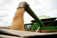 Produtores iniciam colheita da soja com expectativa de safra recorde