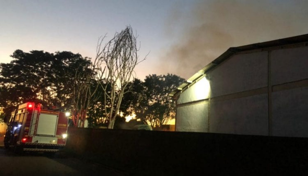 Adolescente invade pátio de delegacia para furtar e incendeia veículos em MS