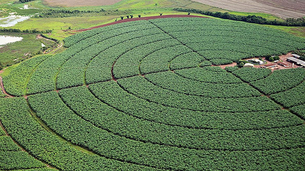 Previsão da safra 2021 é de 263,1 milhões de toneladas