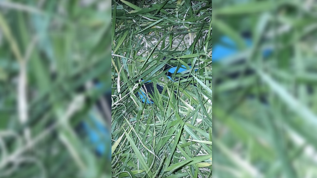 Ladr&otilde;es pulam muro, arrombam resid&ecirc;ncia em frente o F&oacute;rum e fogem em Celta preto