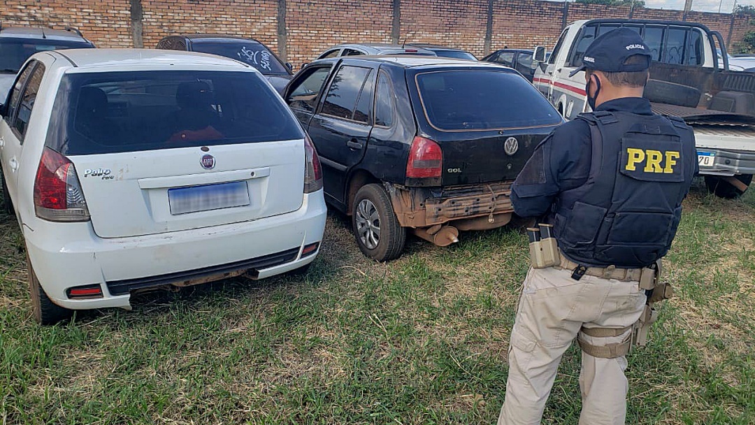 Polícia apreende 104 kg de drogas em duas operações na estrada da Gameleira