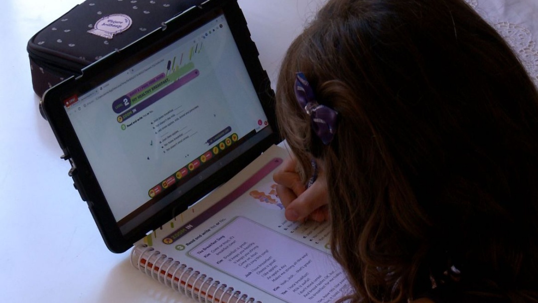 Bolsonaro veta lei que d&aacute; a estudantes acesso gratuito &agrave; internet