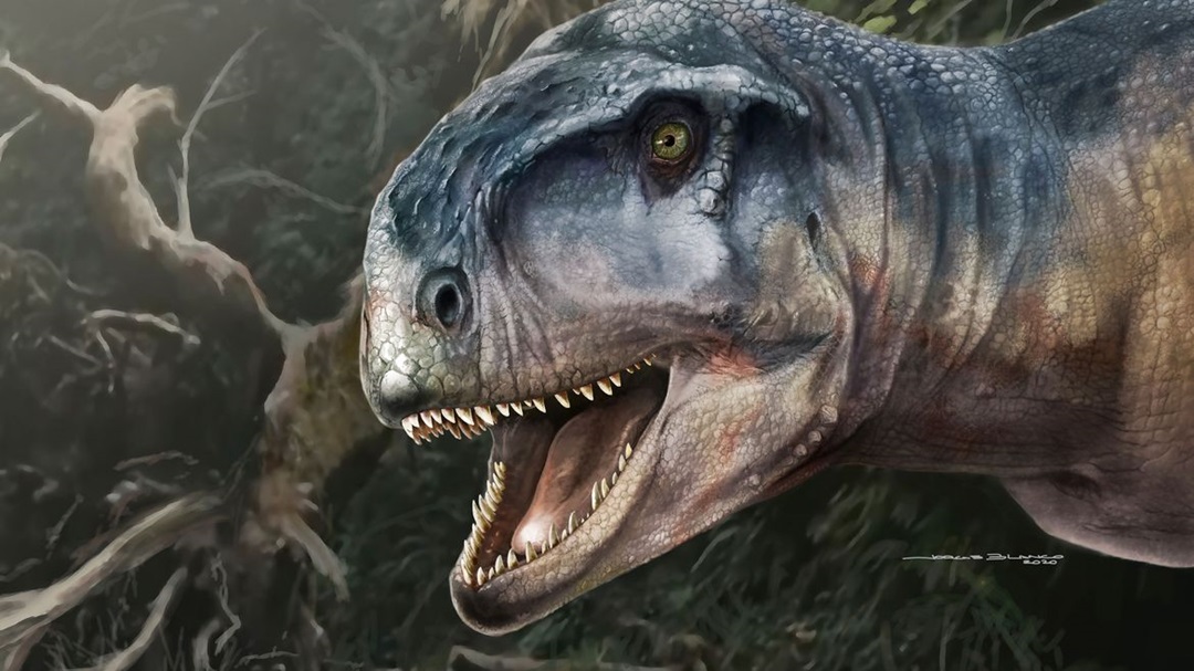 Nova esp&eacute;cie de dinossauro &eacute; descoberta na Argentina