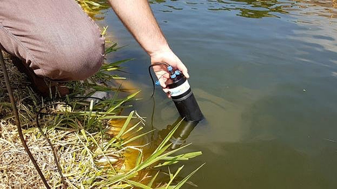 Tecnologias da Embrapa aproximam aquicultura do mercado internacional