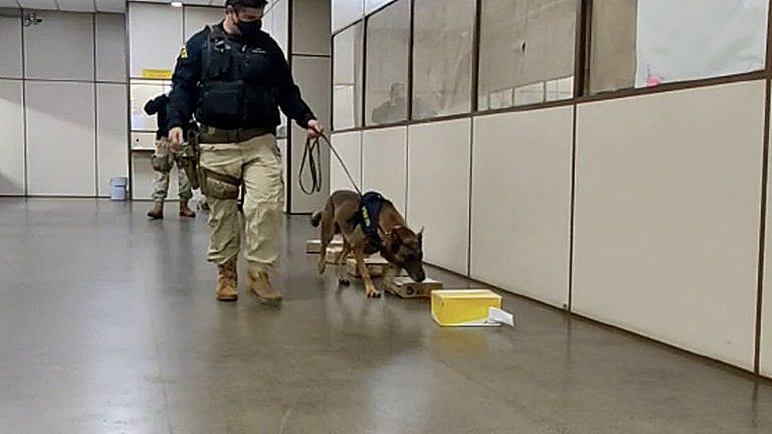 Coca&iacute;na que iria ser enviada em ovos de P&aacute;scoa pelos Correios &eacute; apreendida pela PRF