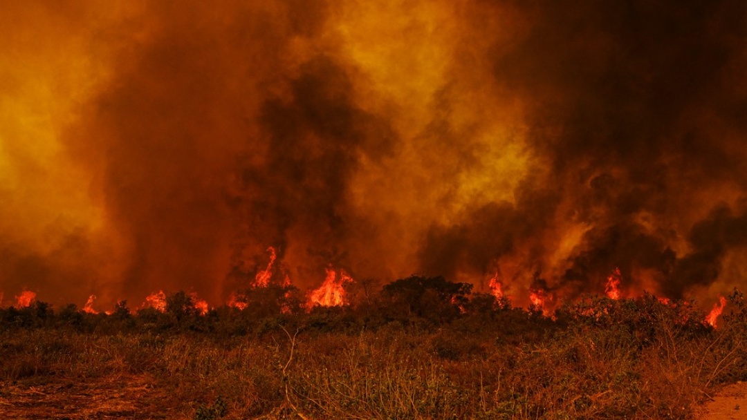 Em 2020, quase 60% dos focos de inc&ecirc;ndios no Pantanal foram provocados por a&ccedil;&otilde;es humanas, dizem MPs