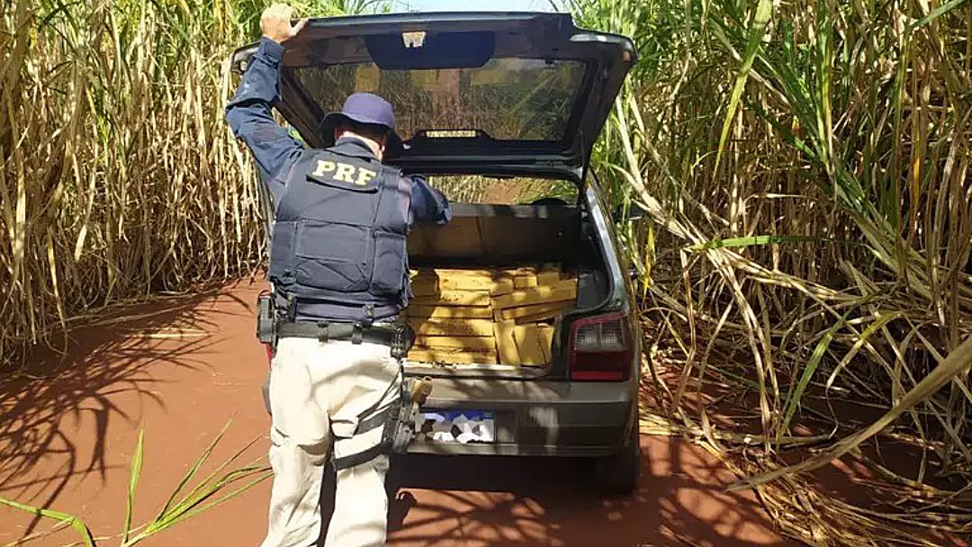 Motorista foge e abandona 301 quilos de maconha no porta-malas de Fiat Uno