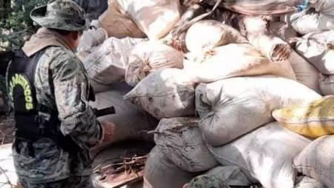 Pol&iacute;cia destr&oacute;i 13 toneladas de maconha em acampamento narco na fronteira