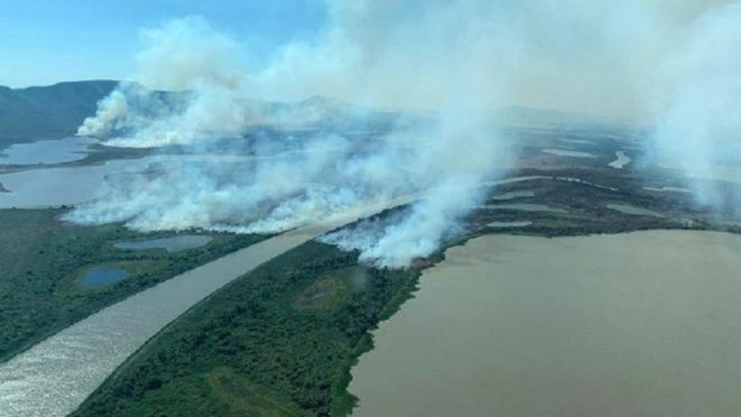 Sindicato pede que pantaneiro seja inclu&iacute;do em discuss&otilde;es sobre o bioma