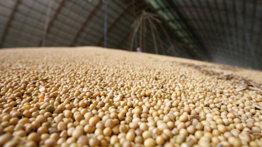 Pre&ccedil;o dos principais produtos agropecu&aacute;rios sobe no primeiro trimestre