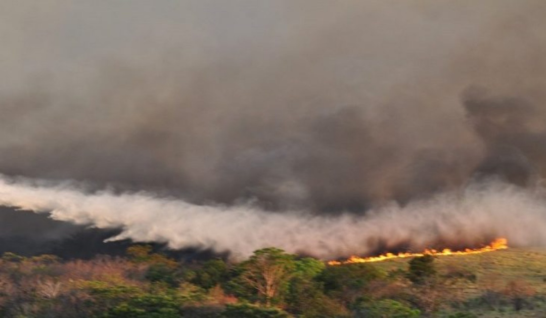 MS declara emerg&ecirc;ncia ambiental por 180 dias