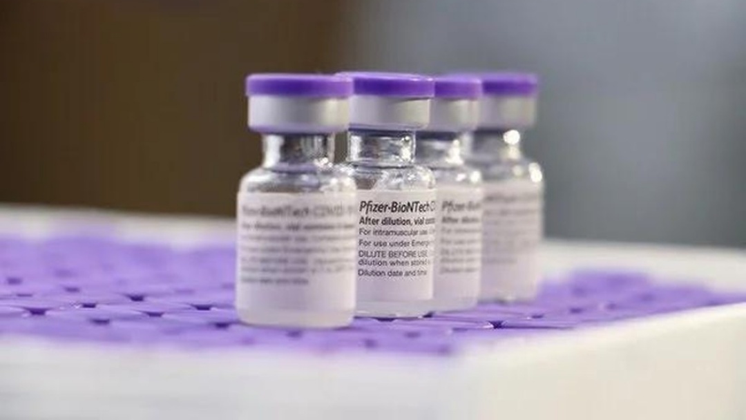 Pfizer pede que Anvisa inclua jovens a partir de 12 anos na bula da vacina