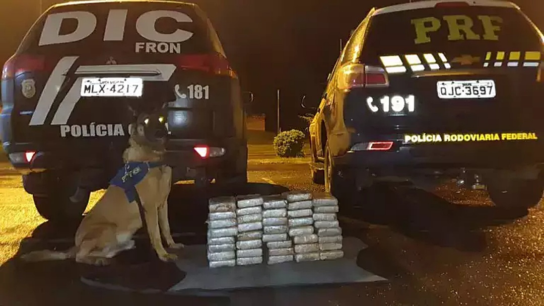 Motorista é preso em SC com R$ 1,8 milhão em cocaína que buscou em MS