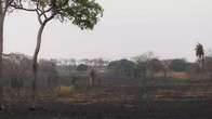 Inc&ecirc;ndios no Pantanal reduzem, mas MS se prepara para meses mais secos