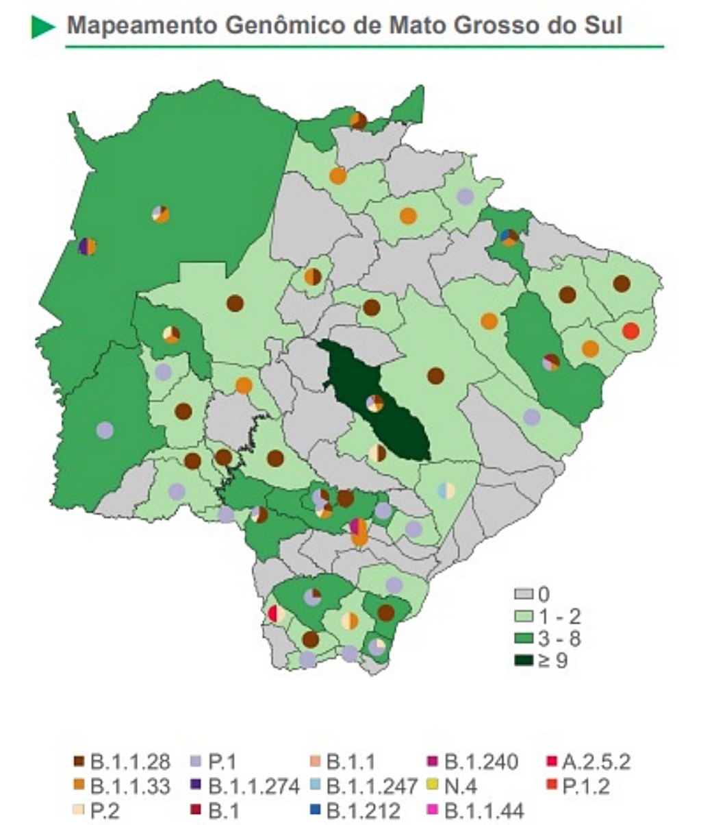 Mapeamento gen&ocirc;mico revela pelo menos 14 variantes em MS