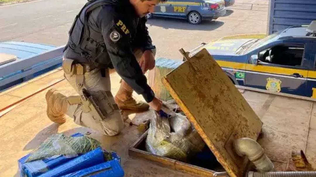 Caminhoneiro &eacute; preso em MG com R$ 3 milh&otilde;es em maconha que saiu de MS
