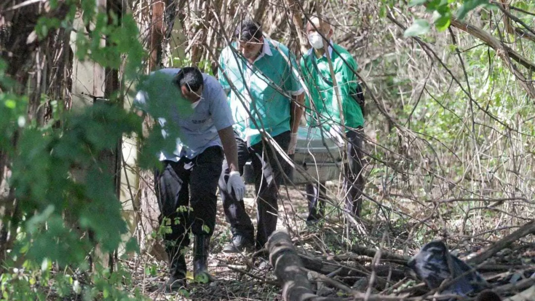 Ossada &eacute; levada para per&iacute;cia e pol&iacute;cia usa farejadores em cemit&eacute;rio clandestino