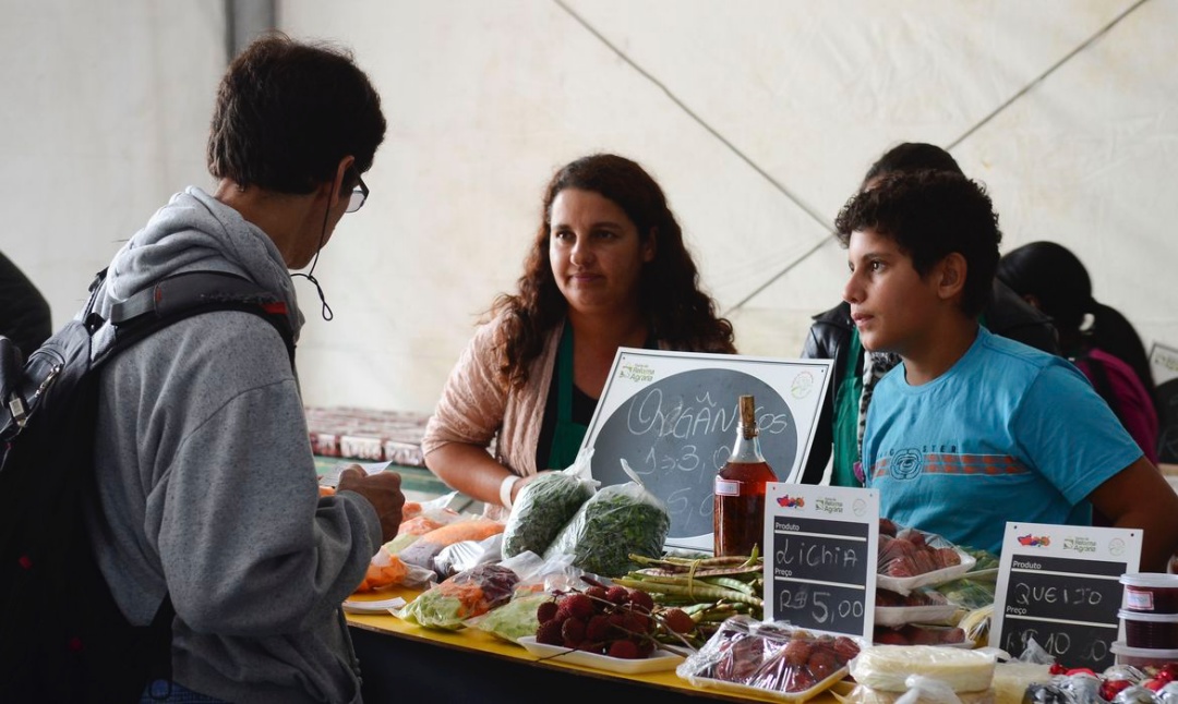 BNDES disponibiliza R$ 5,1 bi para pequeno produtor rural