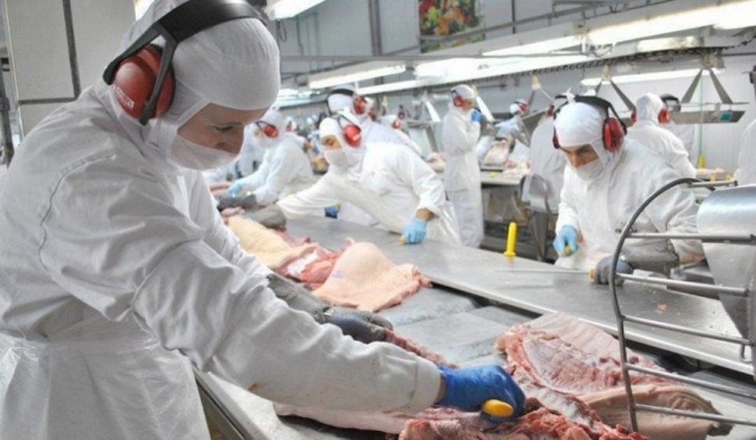 Exporta&ccedil;&otilde;es de MS sobem 15,46% no 1&ordm; semestre, com alta em 11 dos principais itens vendidos para o exterior