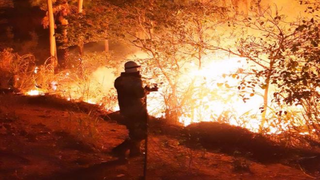Em Mato Grosso do Sul, a &aacute;rea queimada chega a 32 mil hectares no Pantanal