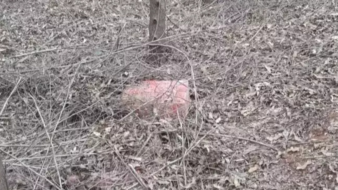 PRF encontra mais de 780 kg de drogas abandonados em propriedade rural