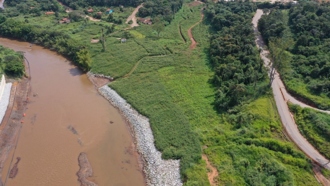 Reflorestamento em Brumadinho usa t&eacute;cnicas in&eacute;ditas, mas s&oacute; atingiu 1%